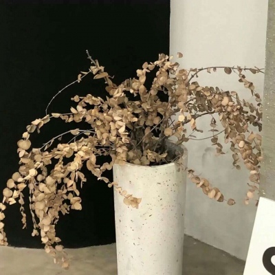 Furry插画风格探索思路福瑞群